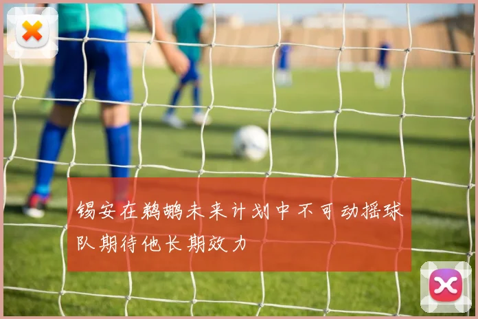 锡安在鹈鹕未来计划中不可动摇球队期待他长期效力